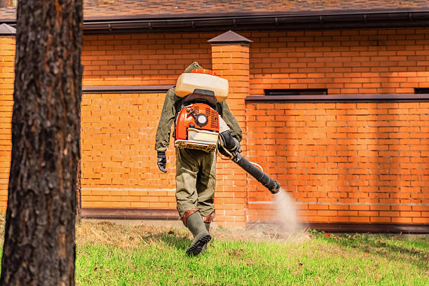 Trusted Ant Control service in Belle Glade, FL - Nex Pest Control